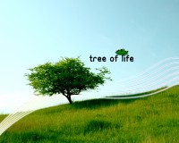 /album/fantasy-landscape/baum-des-lebens-grun-blau-weiss-jpg/